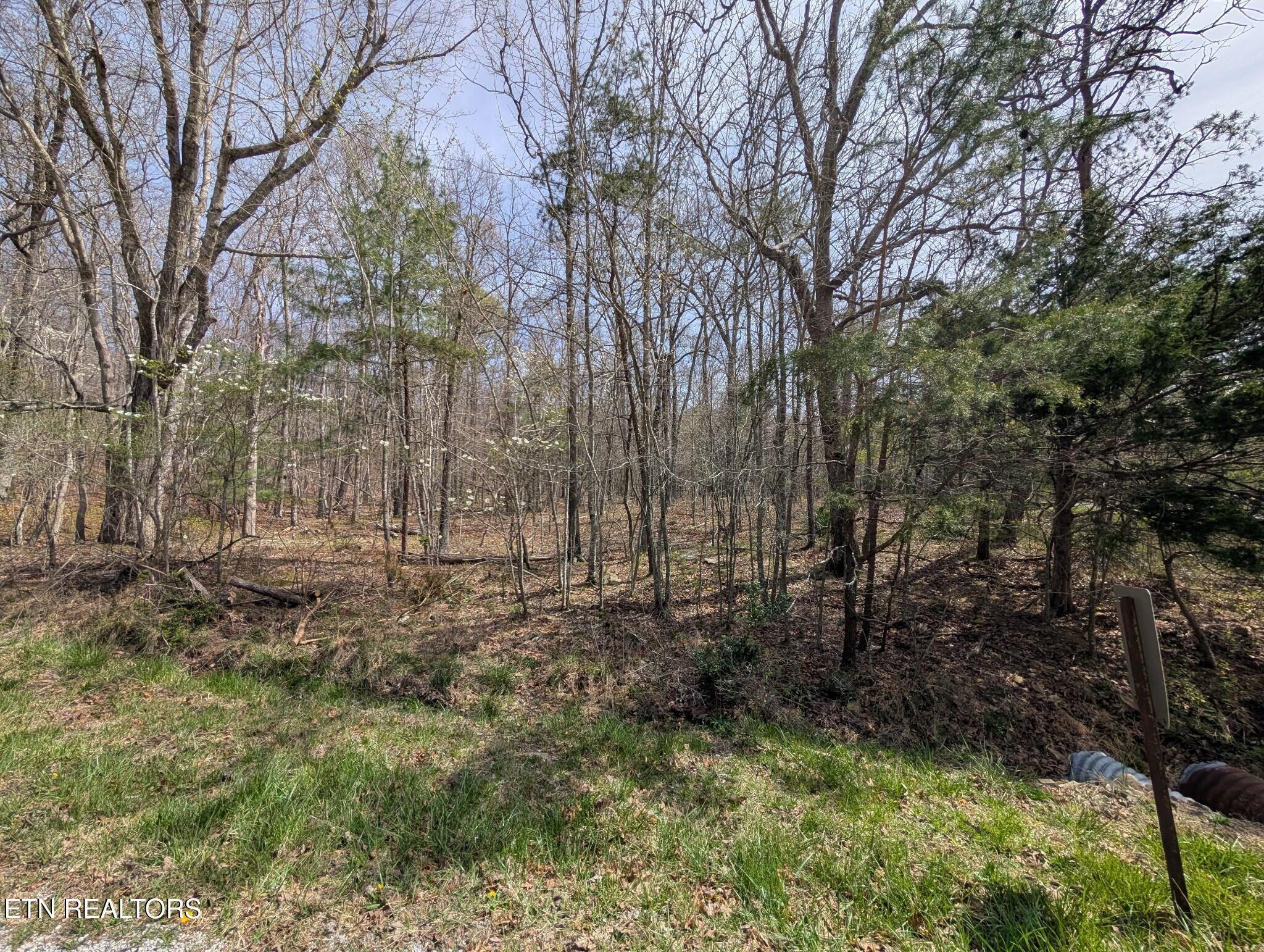 Image 1: Main Photo