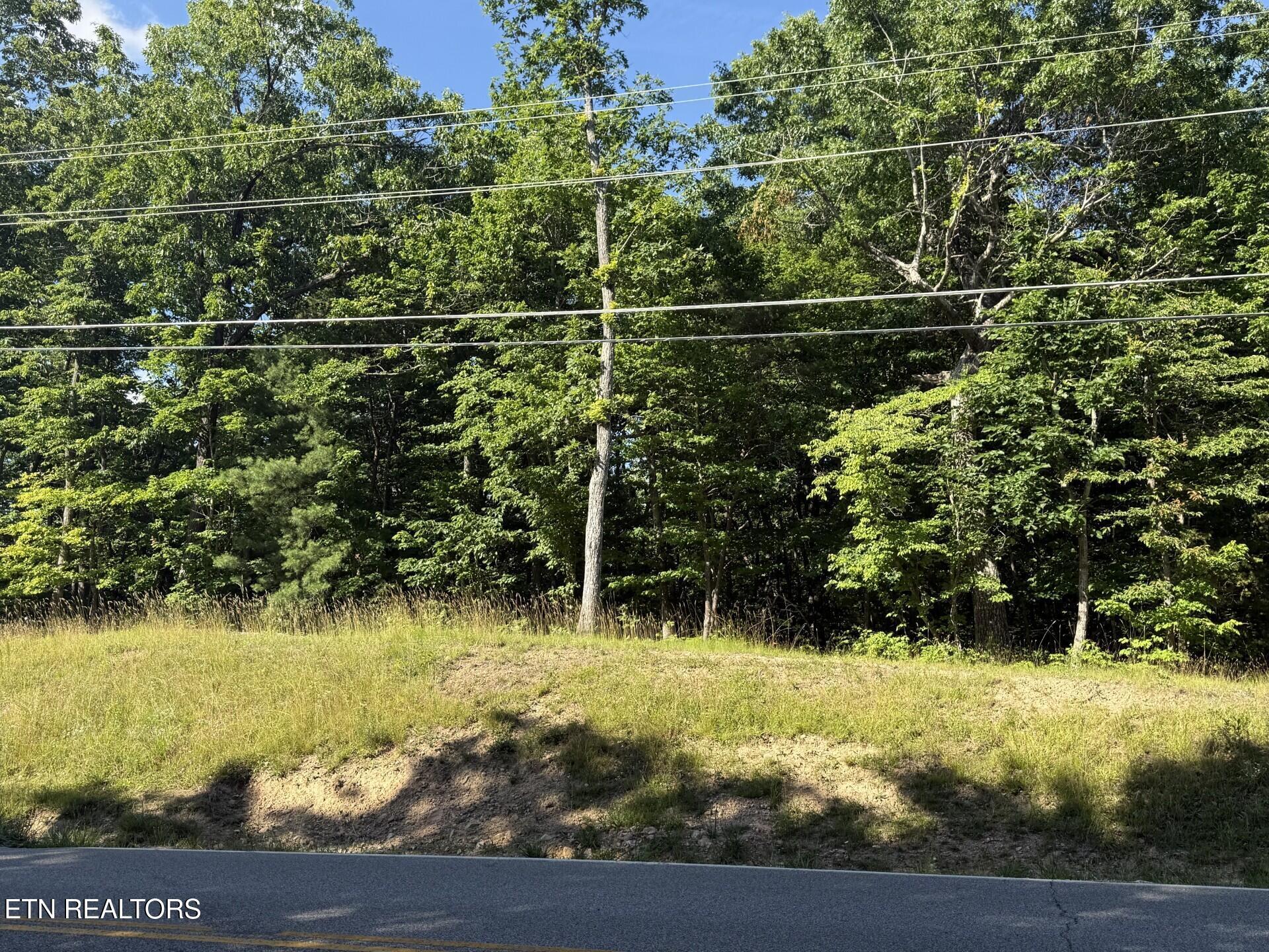 Image 1: 664 Catoosa Street View