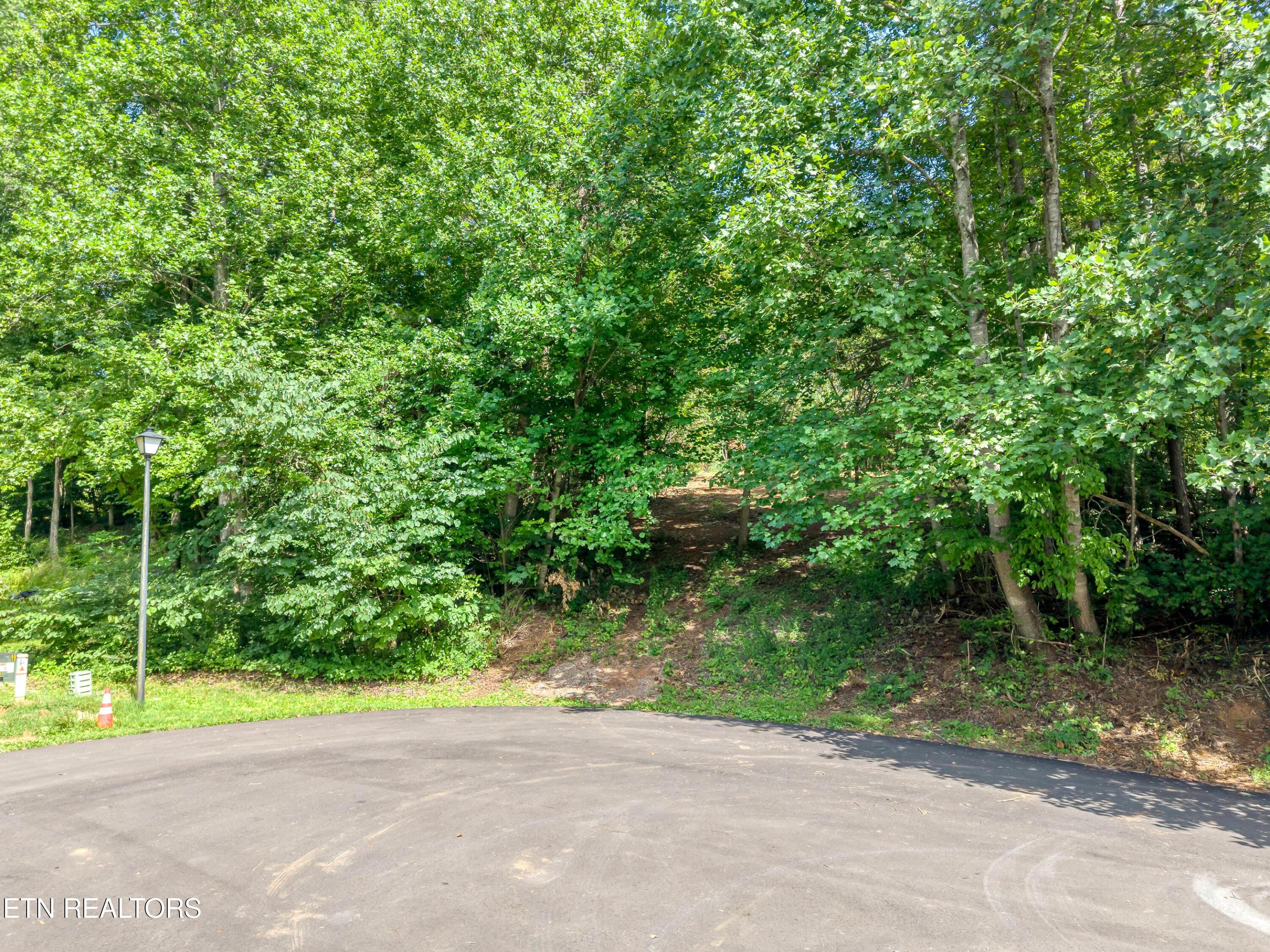 Image 4: Cul-de-sac Entrance