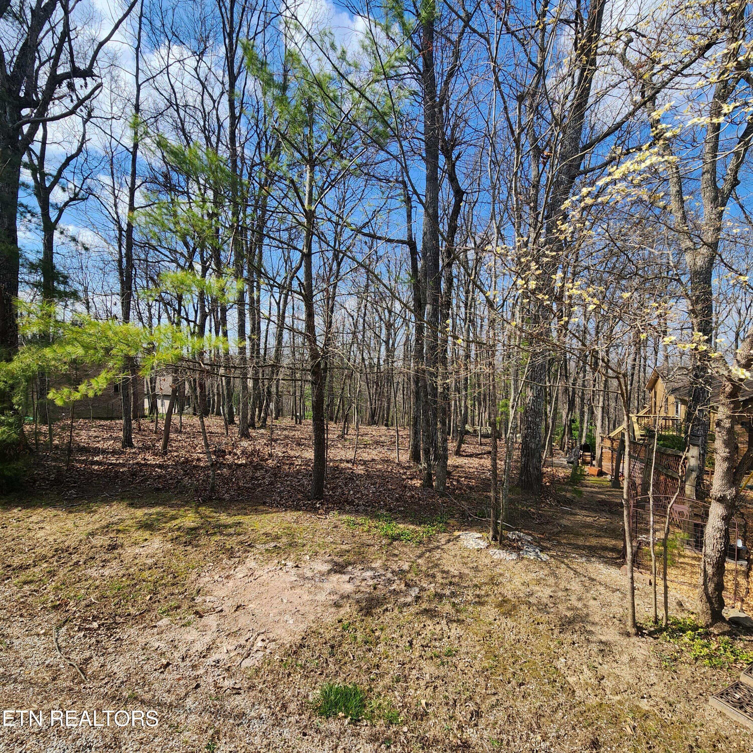 Image 3: 20260326_152015