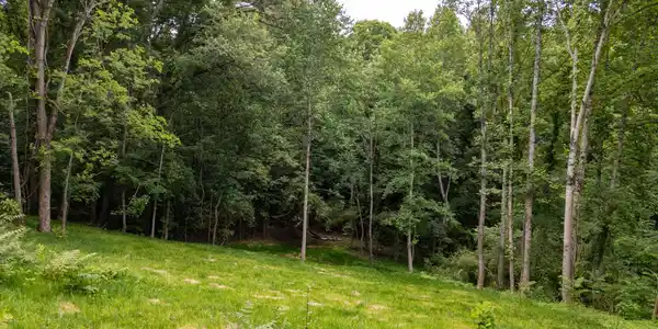 800 Lake Forest Drive