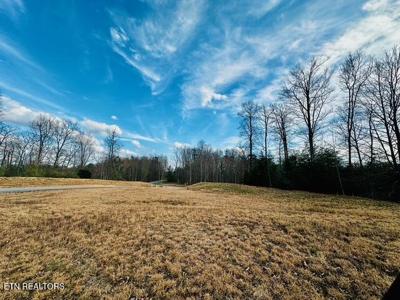Poplar Drive