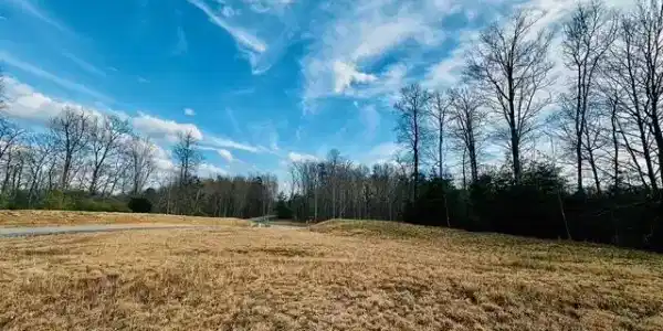 Poplar Drive