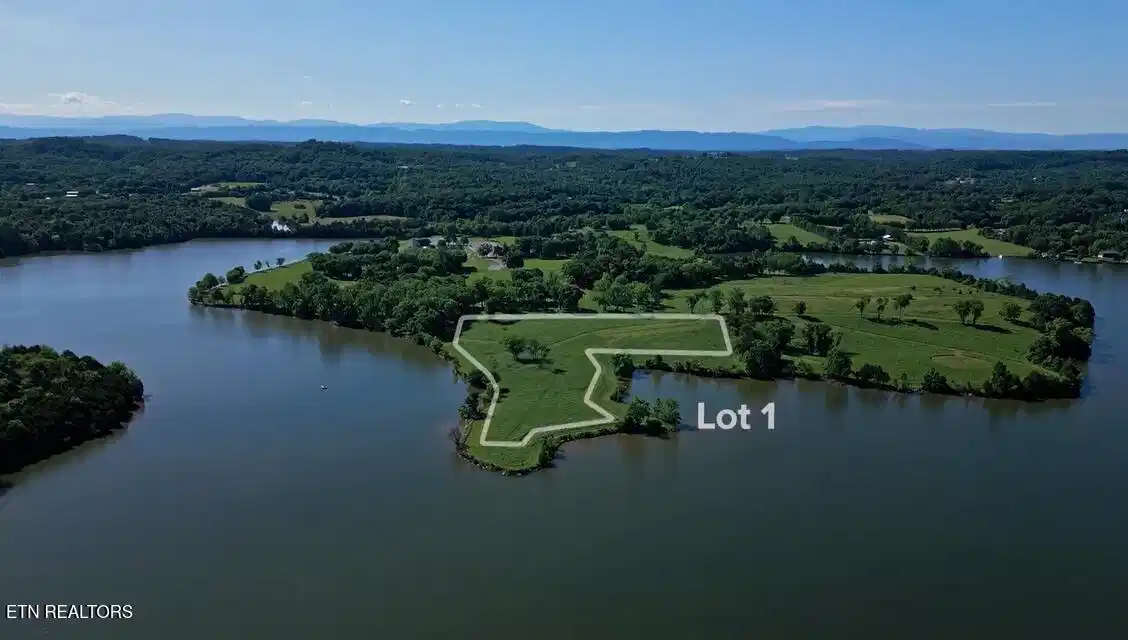 Image 1: Lot 1 Aerial