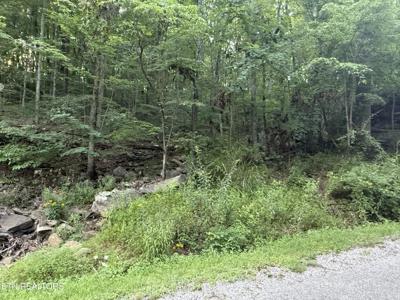224 Dublin Lane