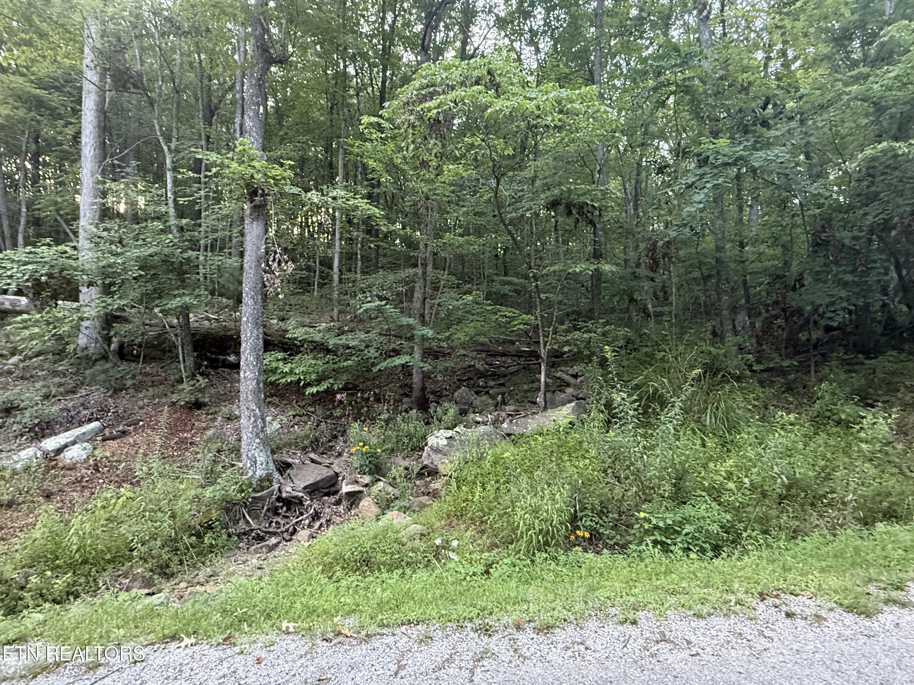 Image 3: IMG_5701