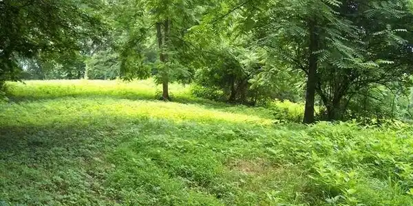 Image 3: image (1)