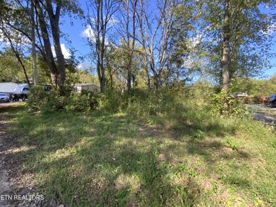 408 Lewallen Hollow Lane