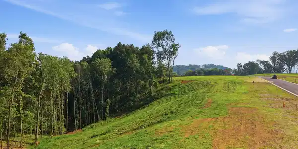 Image 2: 5-web-or-mls-005_DJI_20260729180937_0226