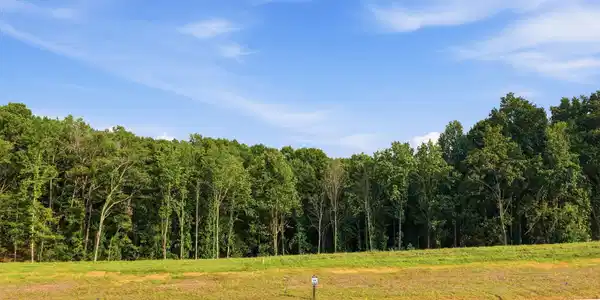 Image 4: 2-web-or-mls-007_DJI_20260729181106_0232