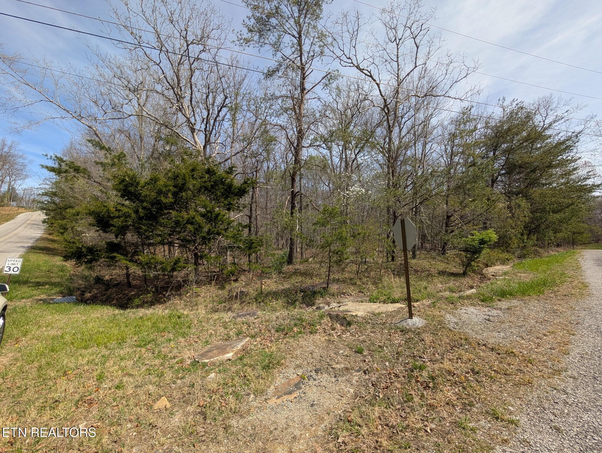 Image 3: PXL_20260406_161135623