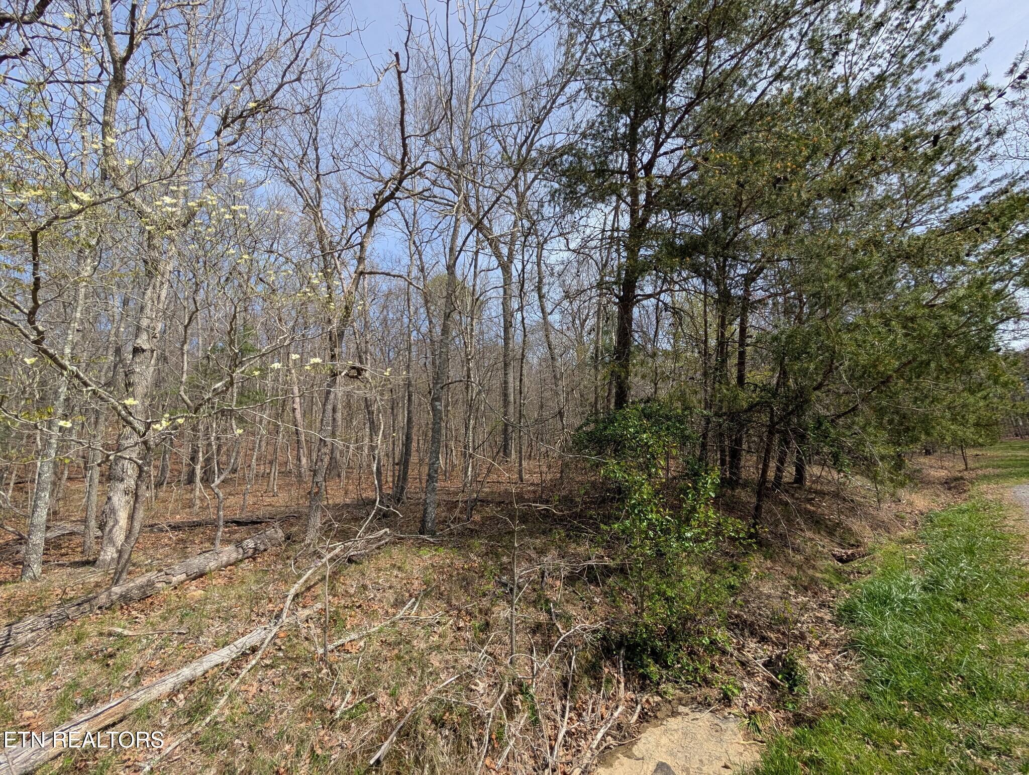 Image 4: PXL_20260406_161202556