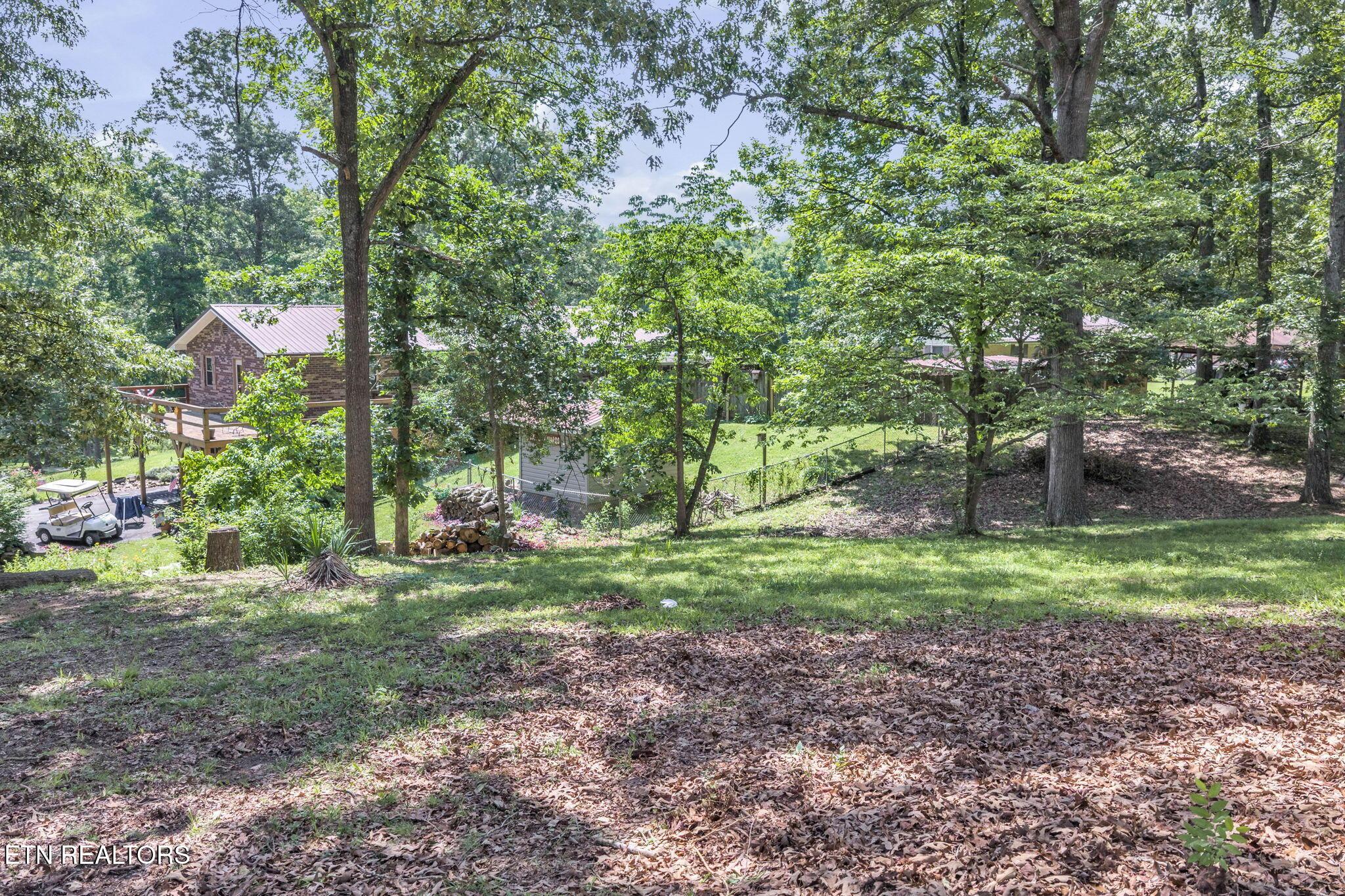 Image 4: 2-web-or-mls-Idlewild--11