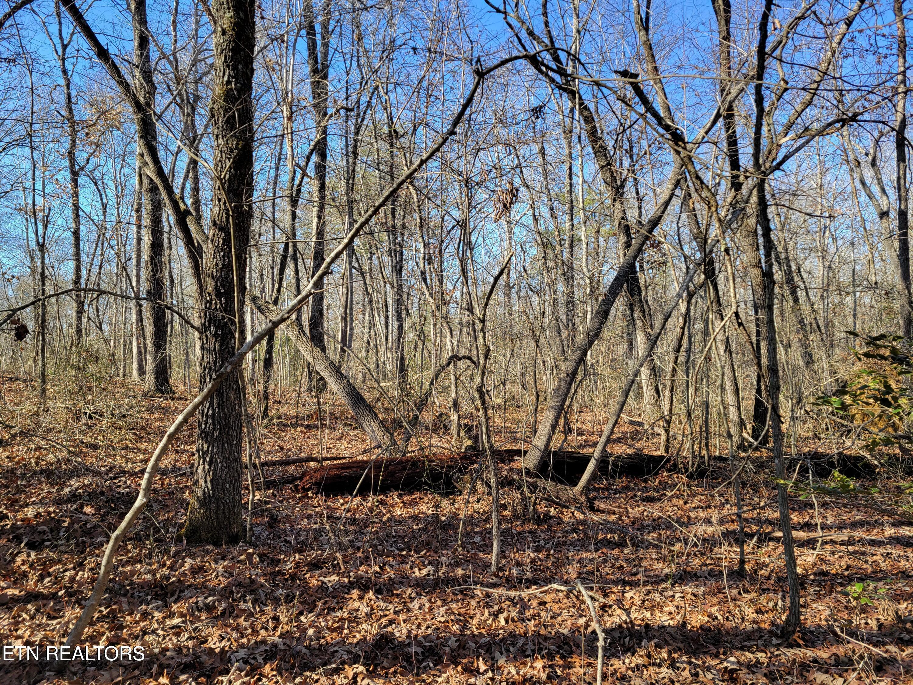 Image 1: Rhonda Road Photo 6