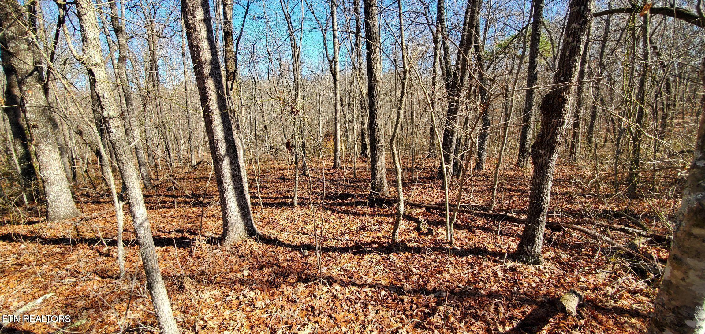 Image 2: Rhonda Road Photo 2