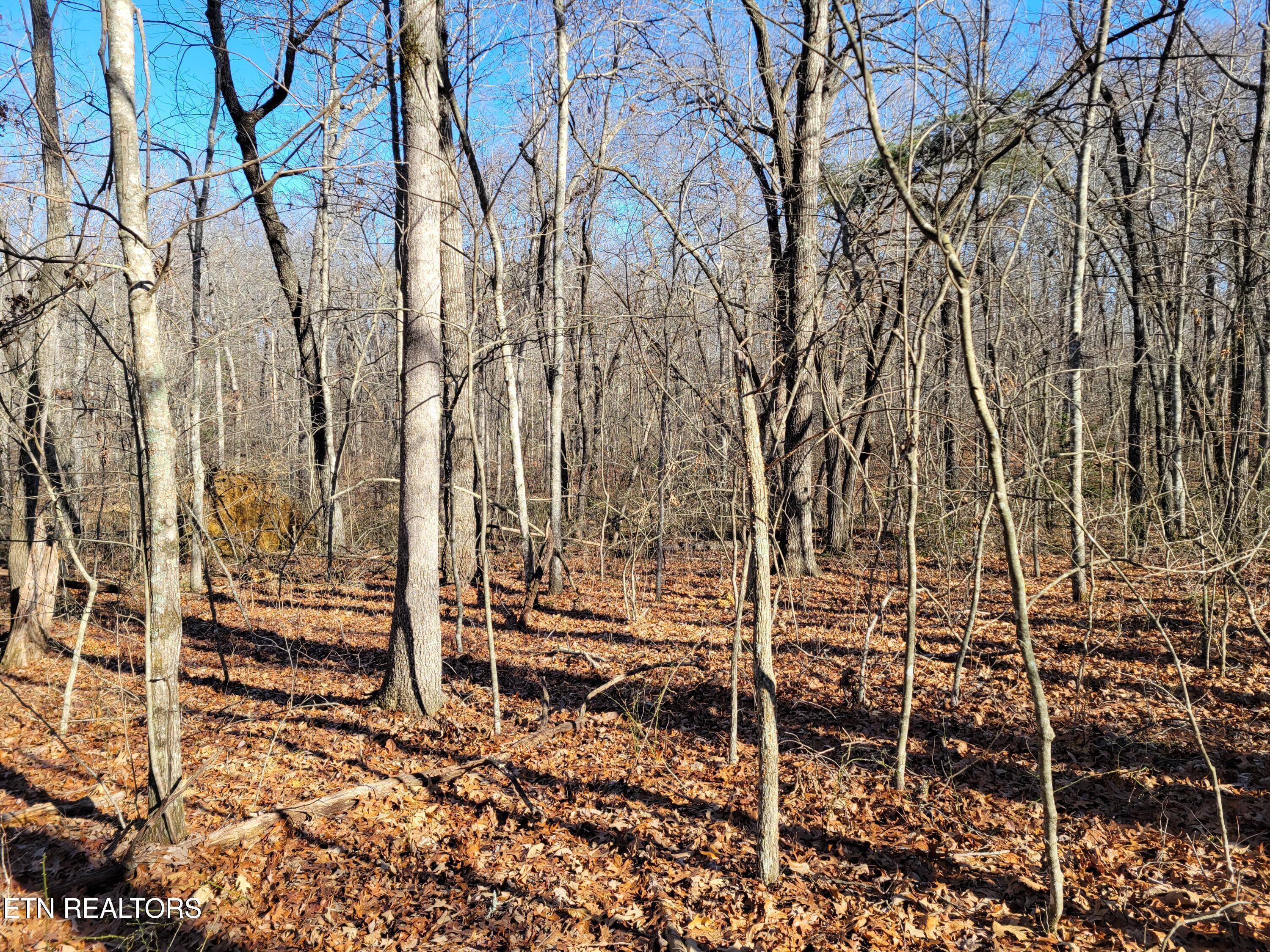 Image 4: Rhonda Road Photo 9
