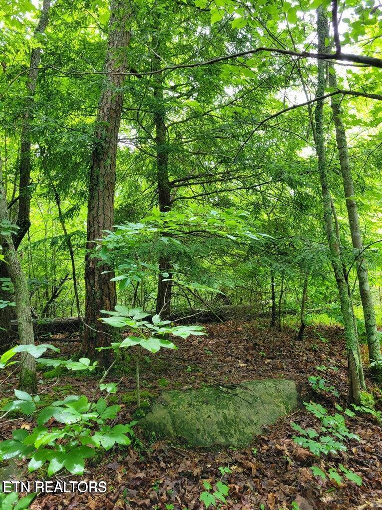 Image 1: Cumberland Lakes Lot 5 Photo 3