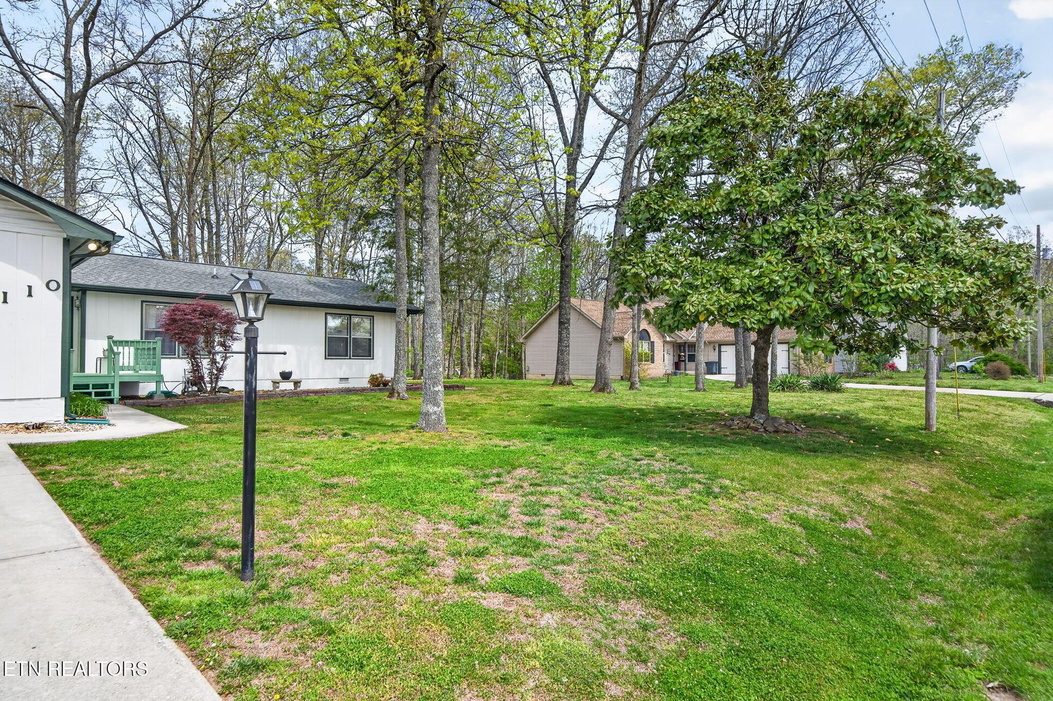 Image 4: Frontyard
