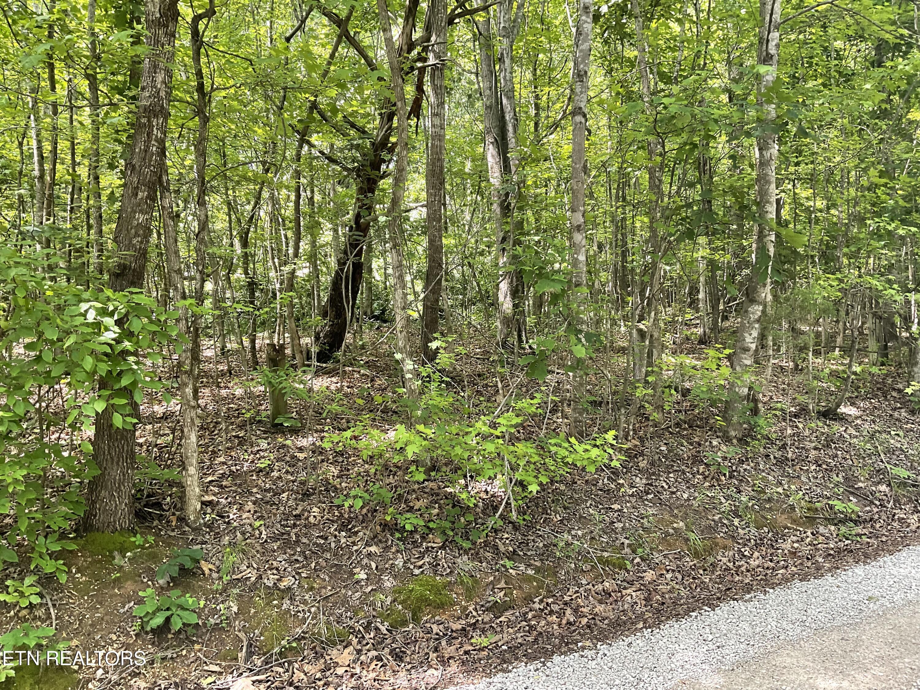 Image 2: IMG_0999