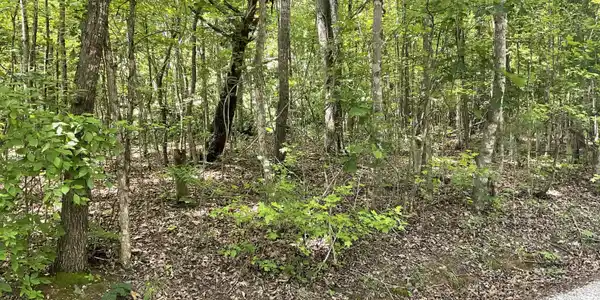 Image 2: IMG_0999