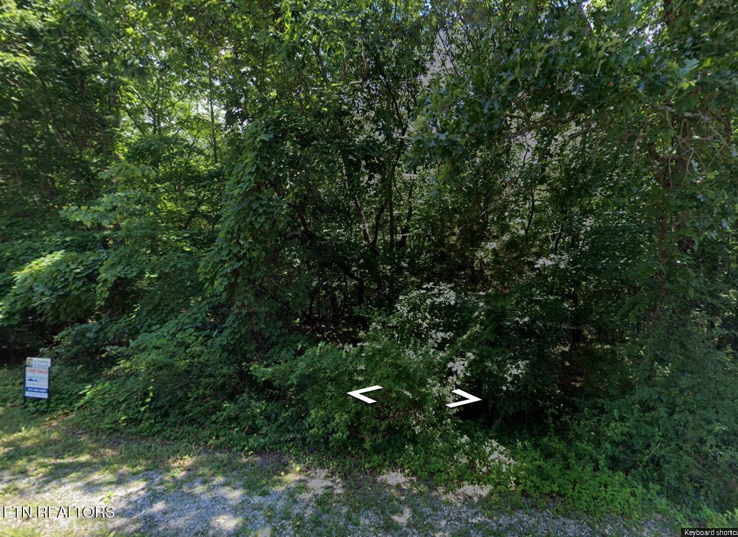 Image 3: ss3