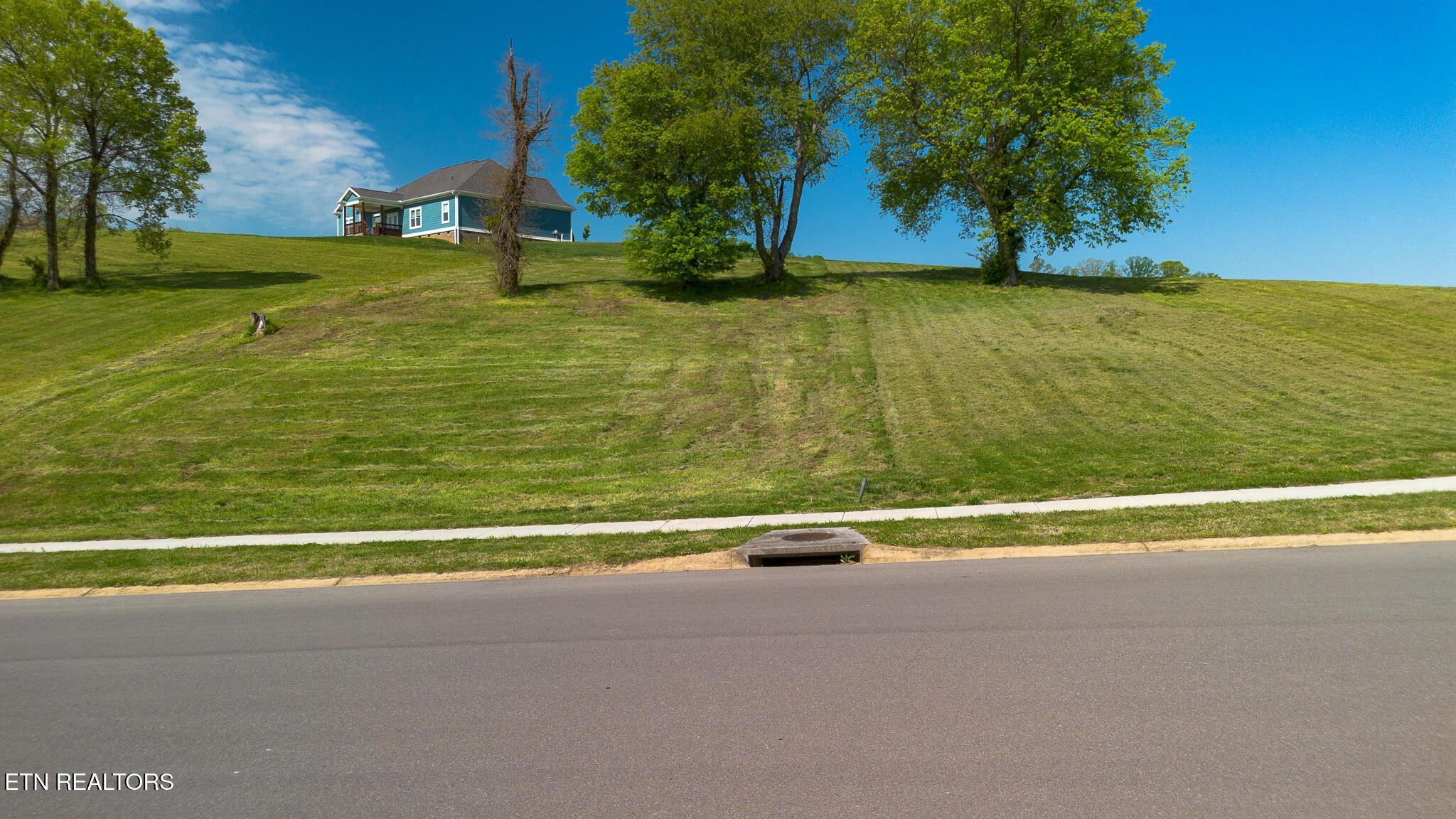 Image 3: DJI_0244