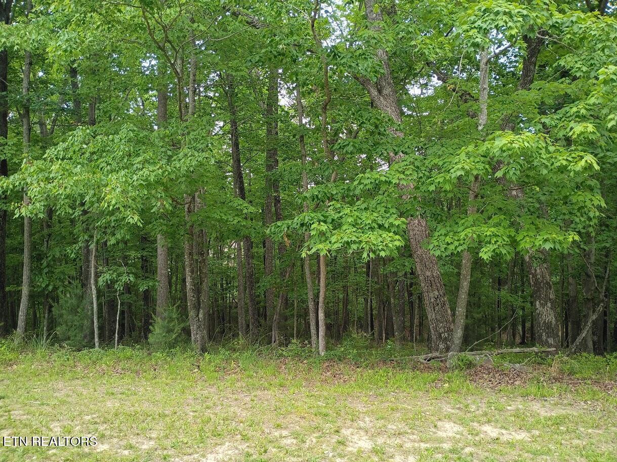 Image 1: 112 Brummel Way