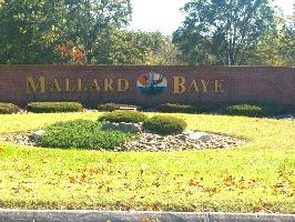Lot 63 Mallard Baye  Lot 63