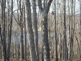 134 Markham Lane 66