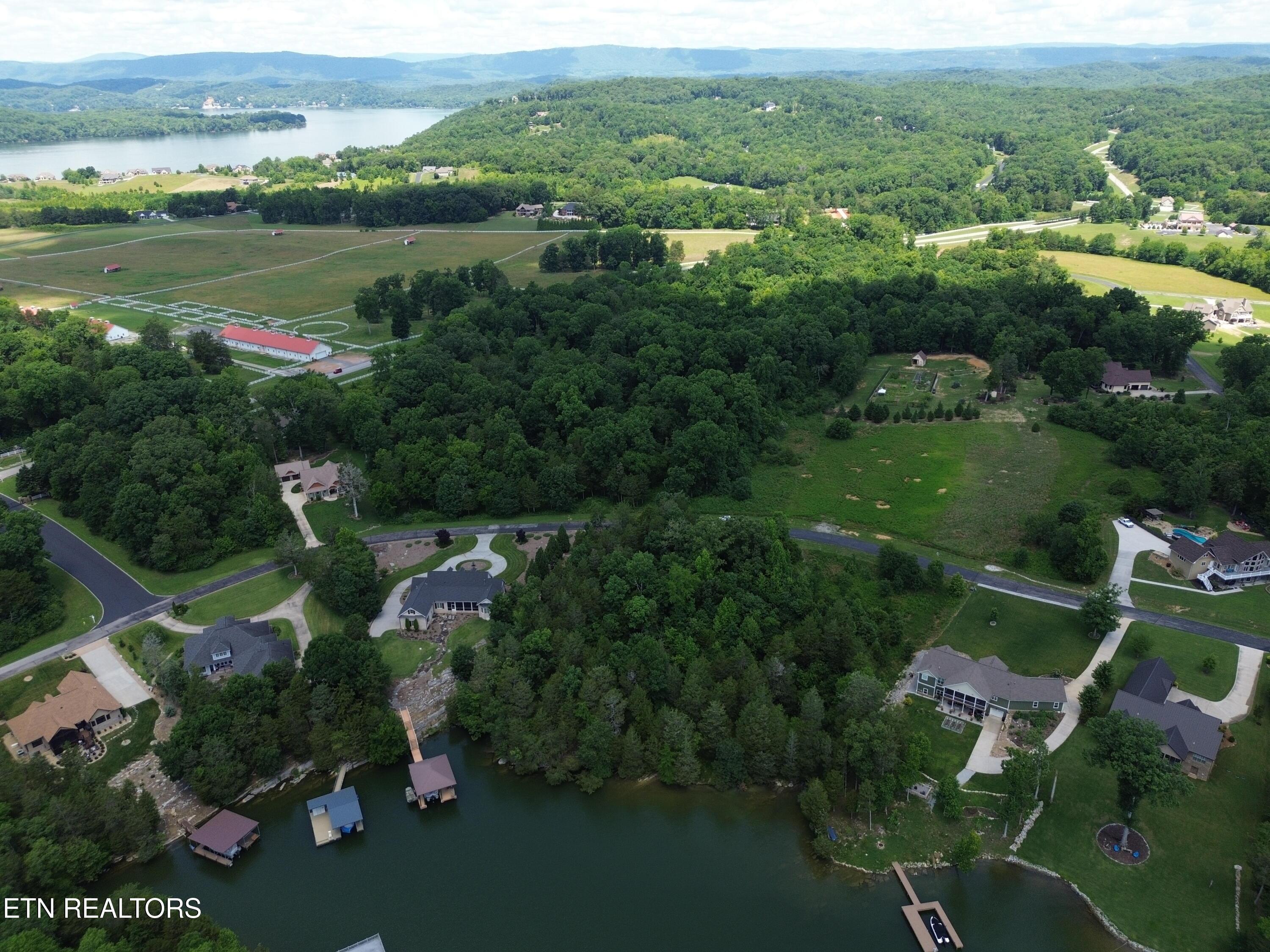 Image 4: DJI_0317