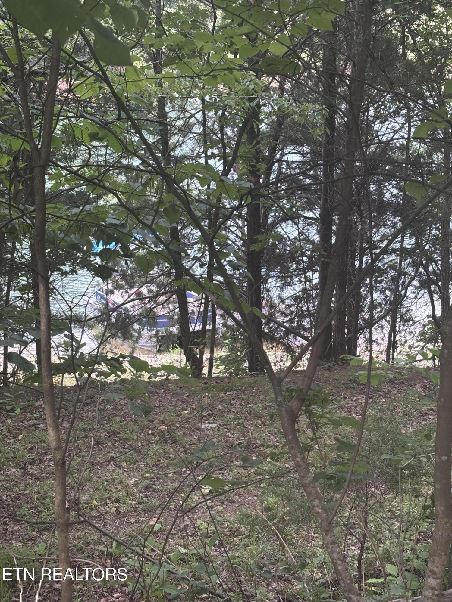Image 3: IMG_0028