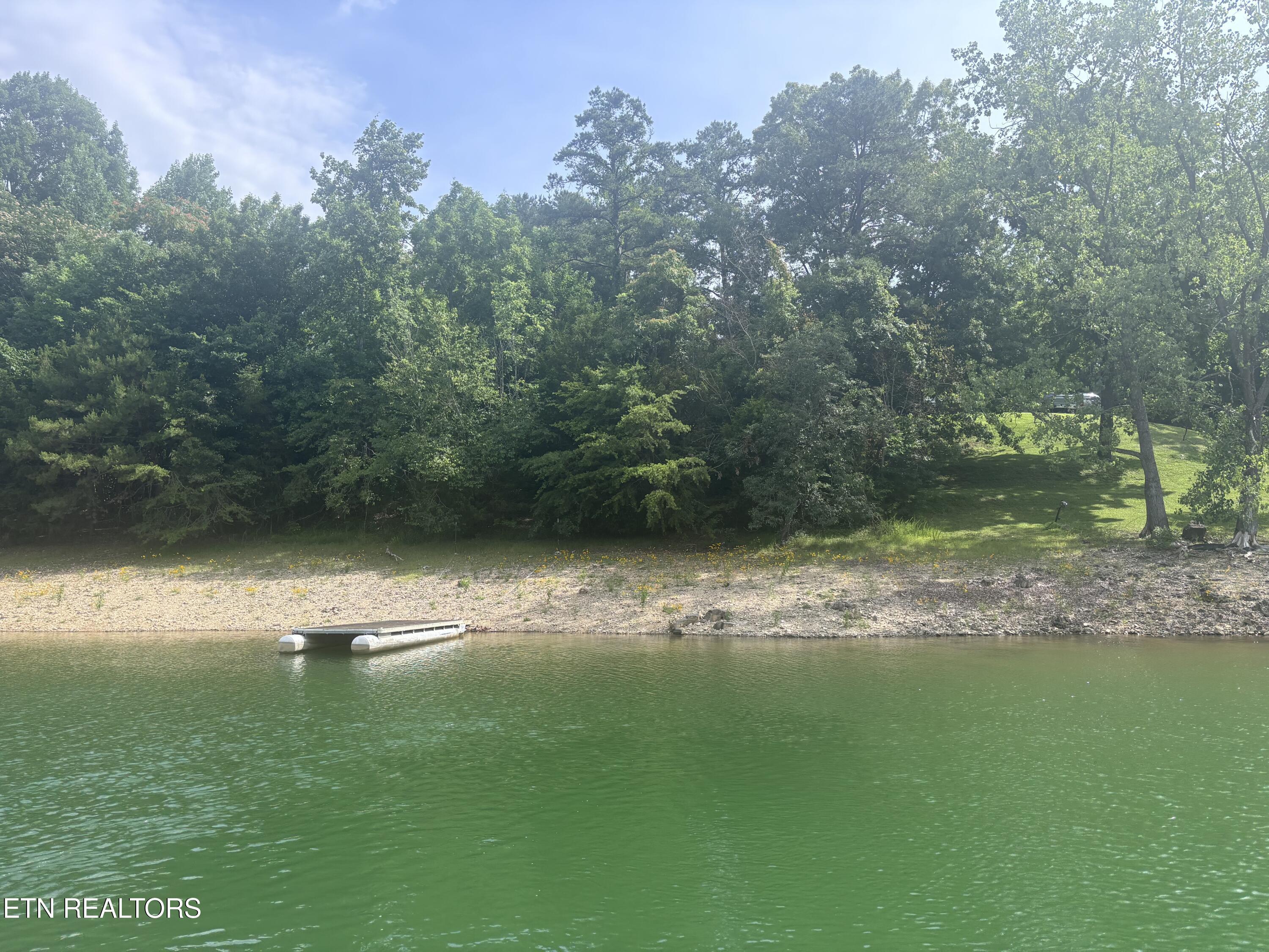 Image 4: IMG_0044