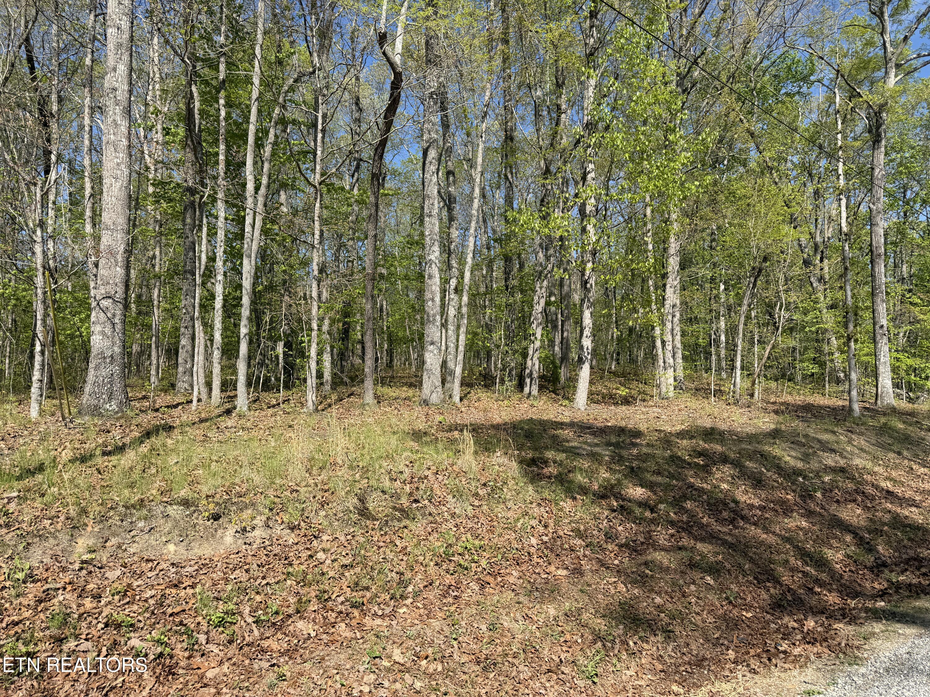 Image 2: IMG_8625
