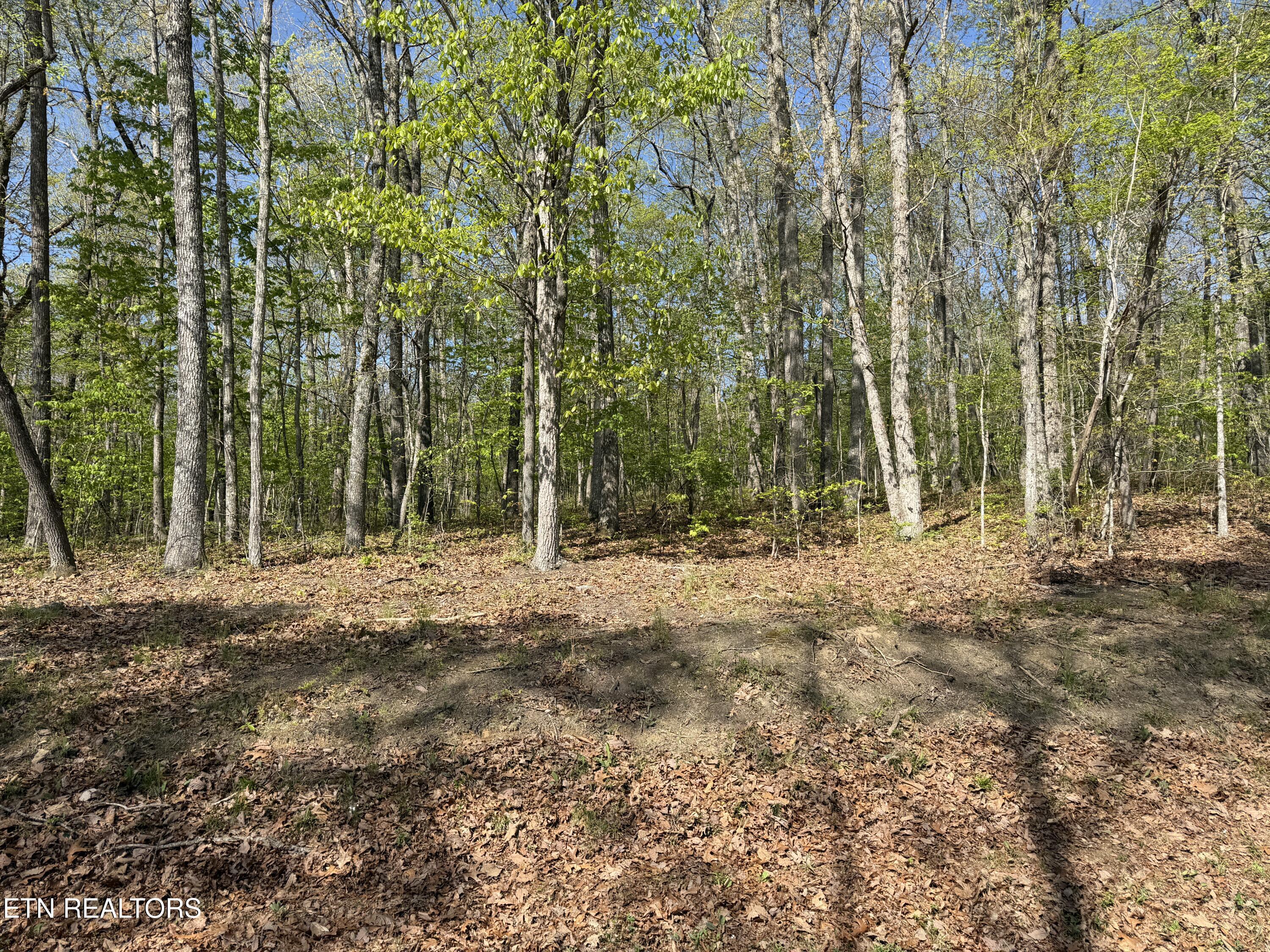 Image 4: IMG_8628