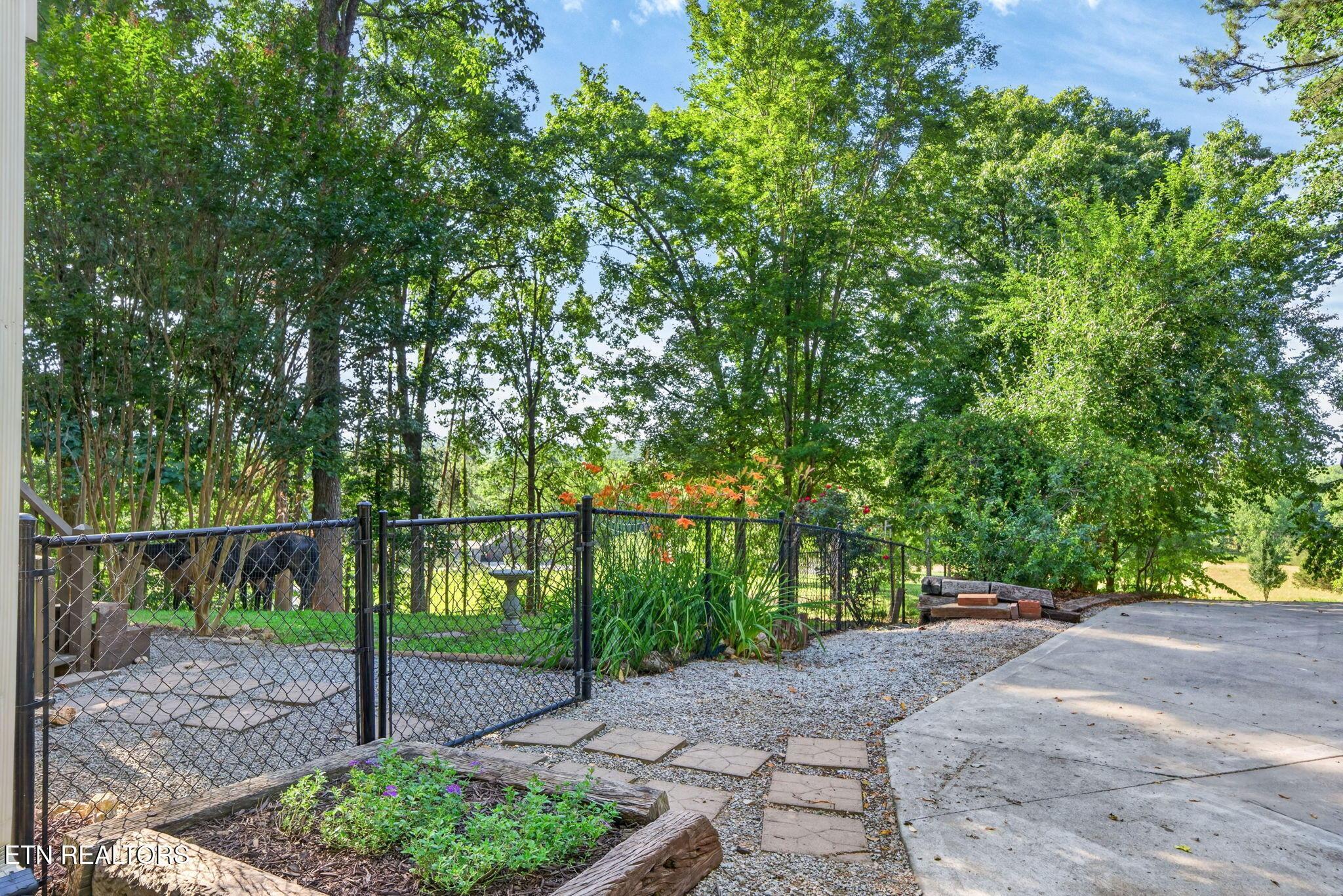 Image 4: Scenic Entry