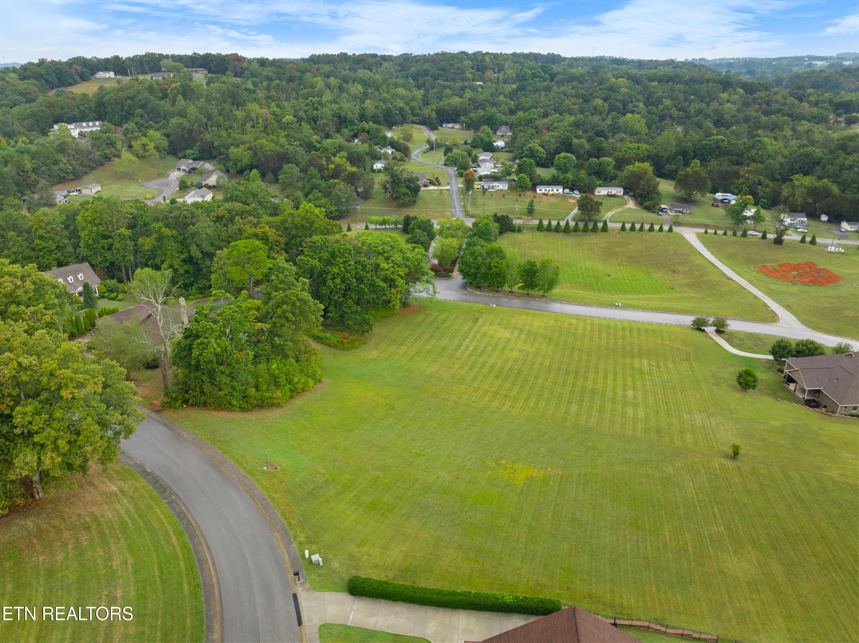 Image 3: DJI_0528