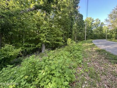 Pine Hollow Rd