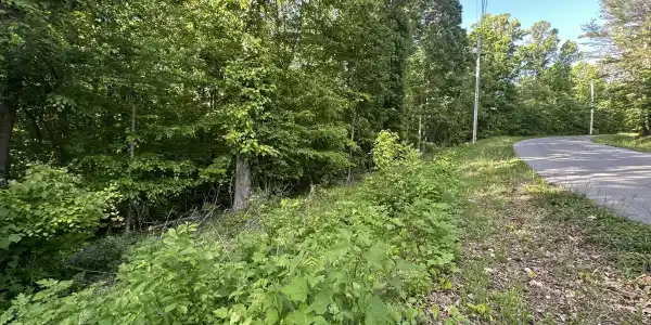 Pine Hollow Rd