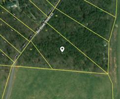 Bat Creek Shores Lane 17