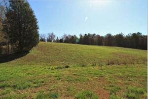 162 Thunder Ridge Dr. 44