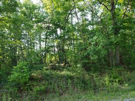 117 Chickasaw Drive