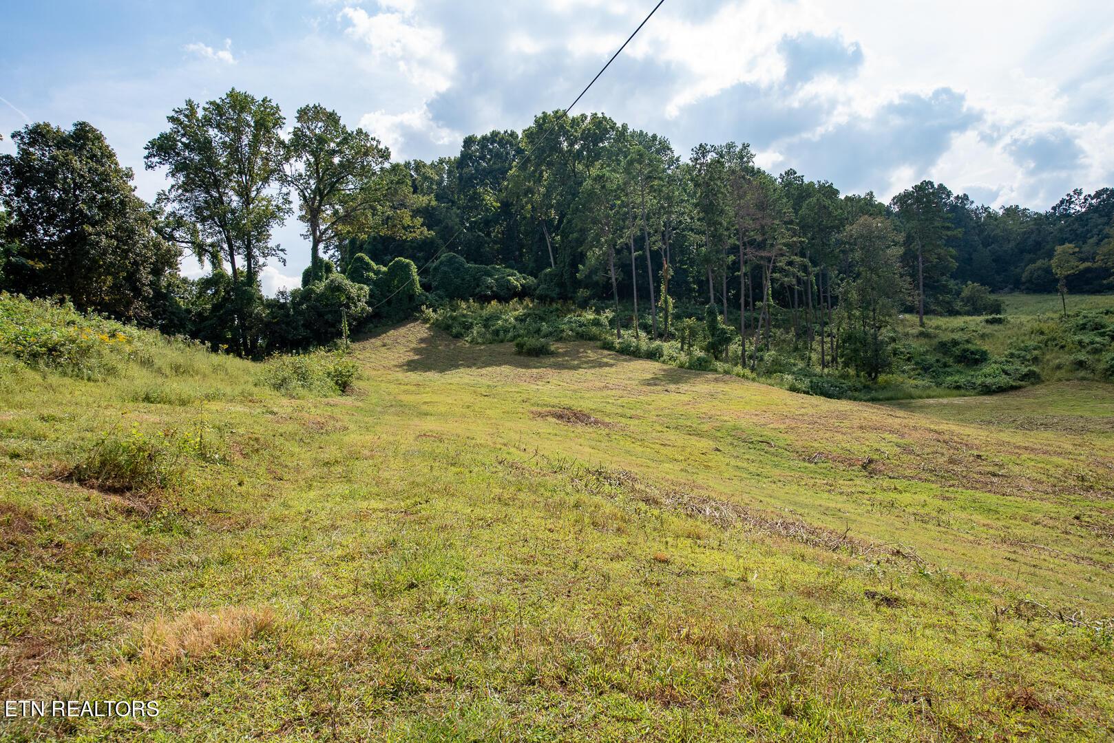 Image 4: DSC_3224