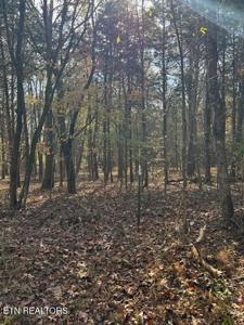 Lot 1031 Meadow Court