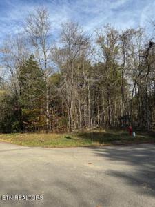 Lot 1023 Cove Lane