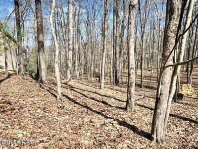 120 Pineridge Loop