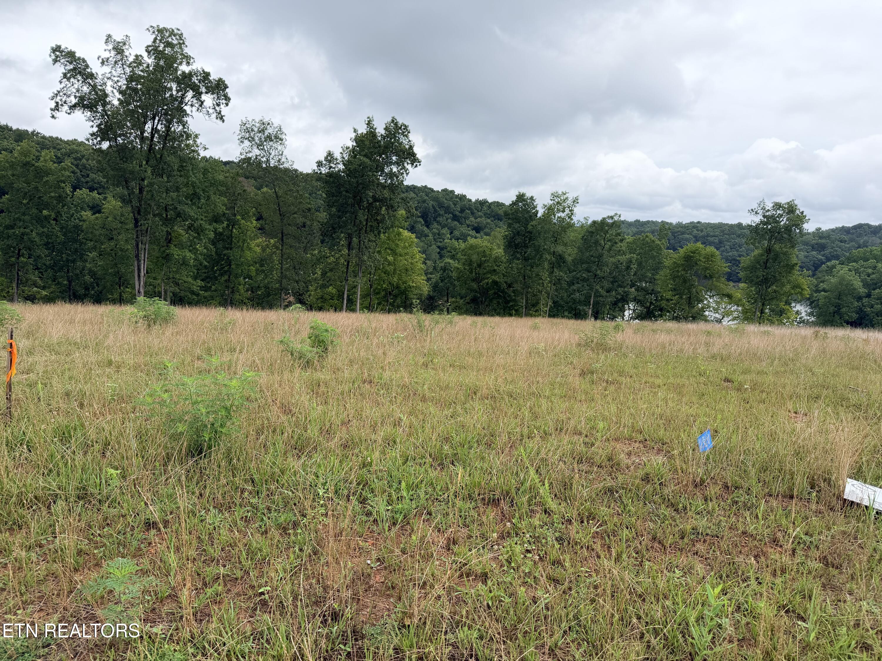 Image 3: Homesite area