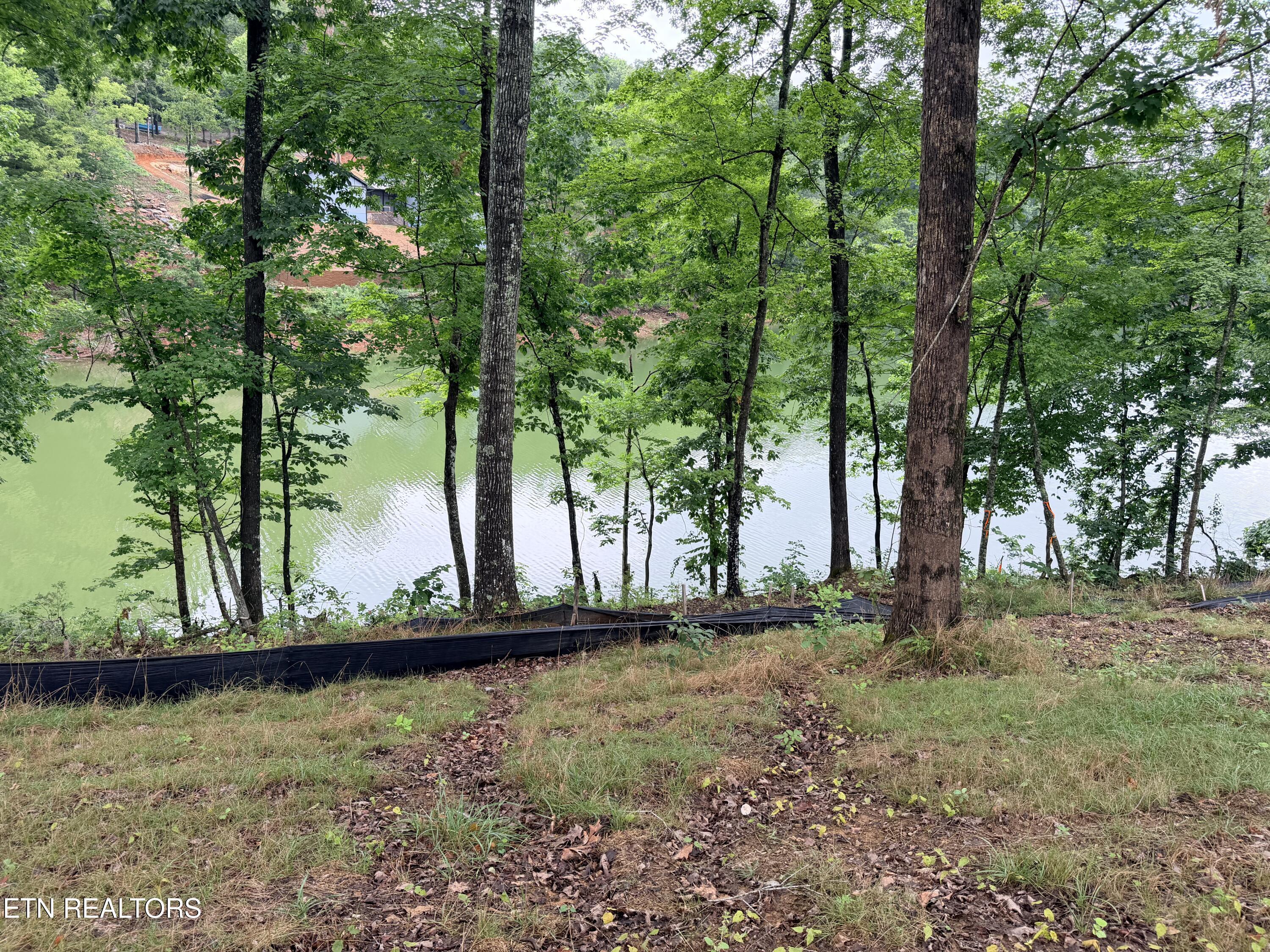 Image 4: Waters edge