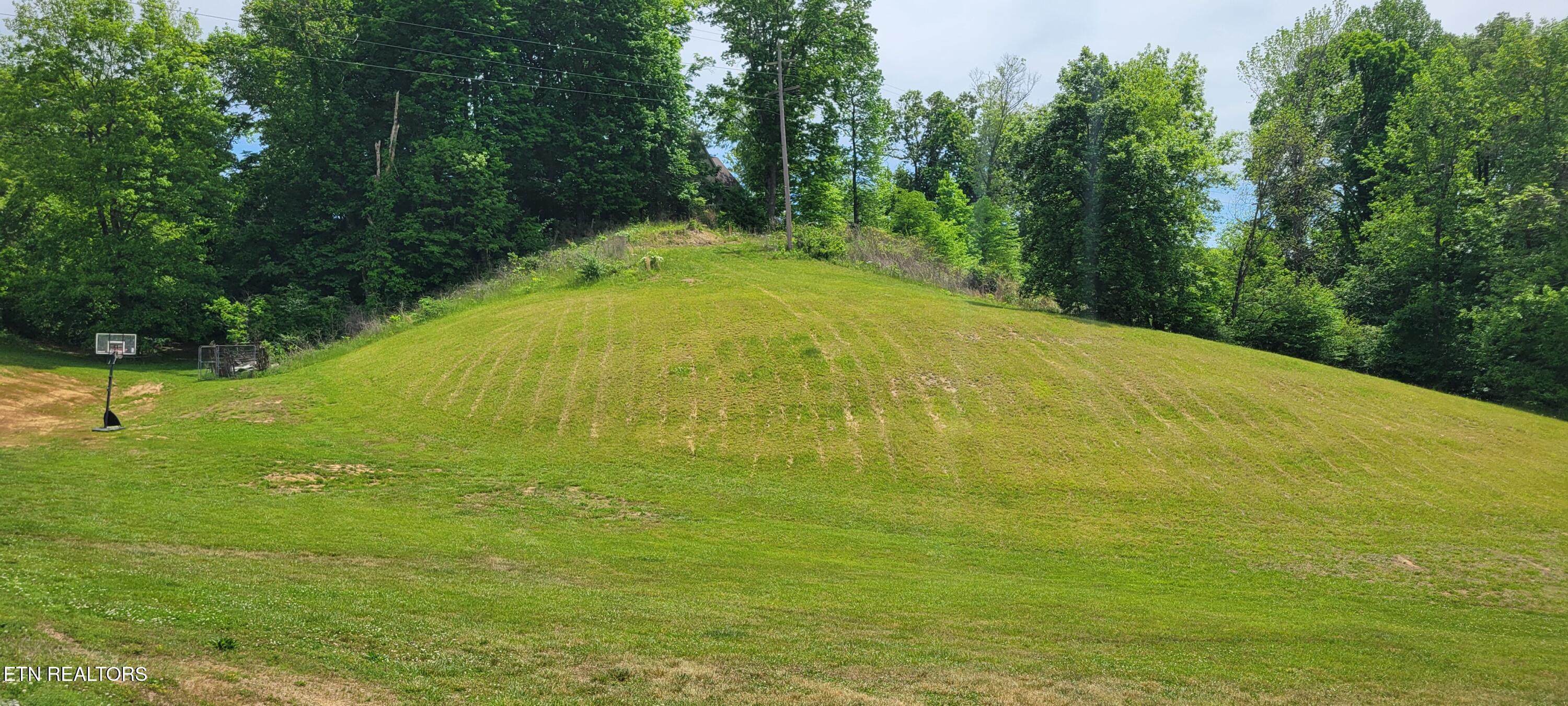 Image 4: 4