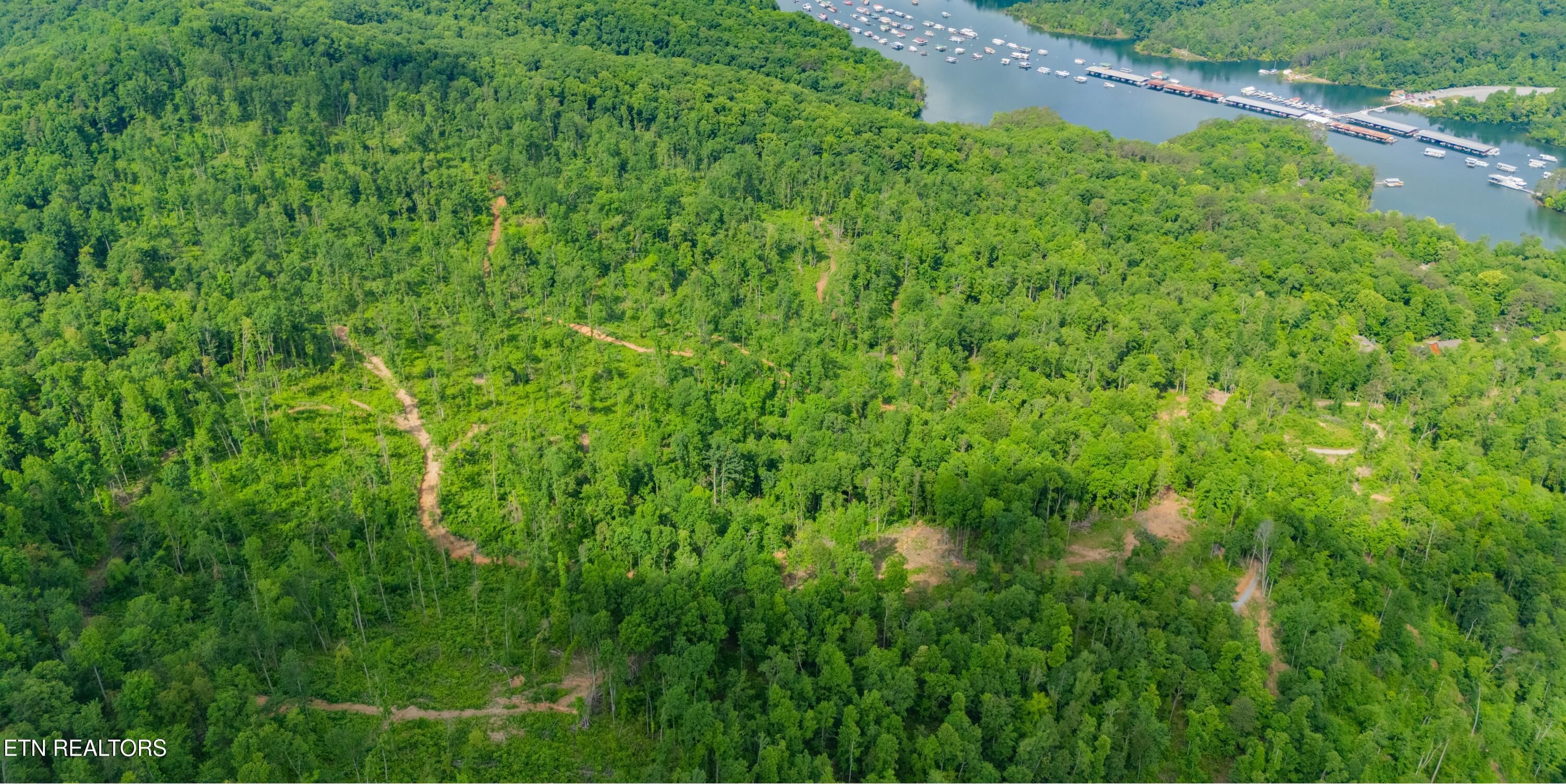 Image 2: TAZEWELL-54A