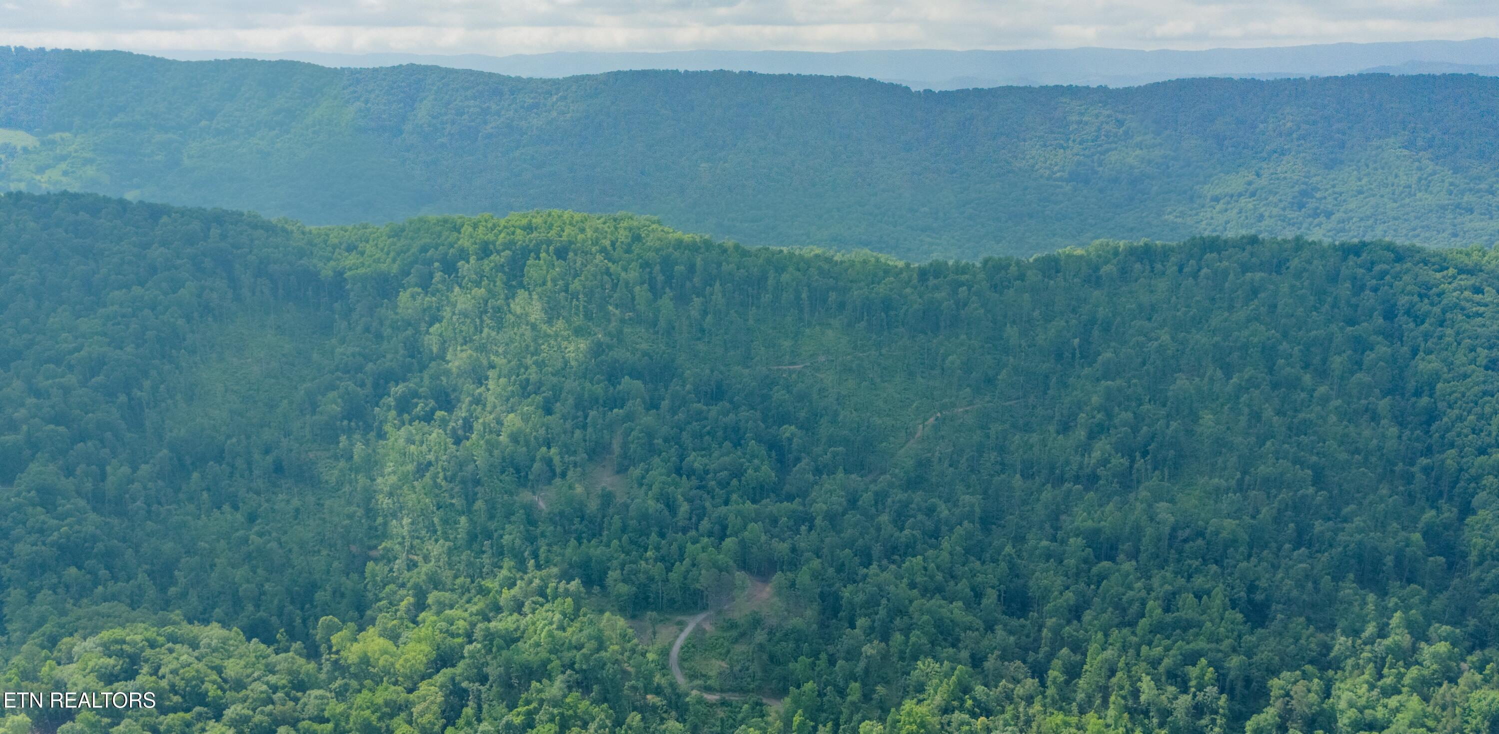 Image 3: TAZEWELL-45A